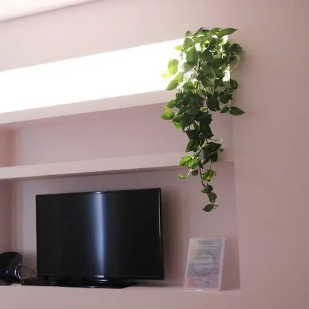 Vmadeira Гостевой дом Фуншал