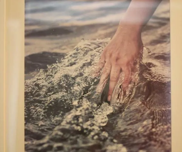 Pensionat Vmadeira 4*